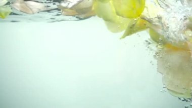 Gül yaprakları suya düşer. Geçmişi. Yavaş çekim.