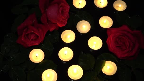 Rosas Velas Sobre Fondo Negro — Vídeo de stock