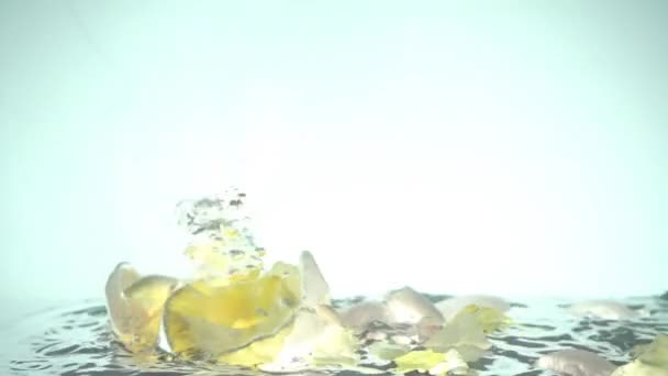 장미꽃 은물에 떨어진다 그라운드 — 비디오