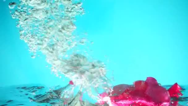 Rosenblätter Fallen Ins Wasser Hintergrund Zeitlupe — Stockvideo
