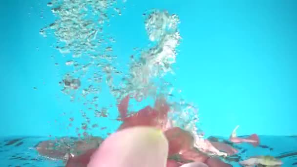 玫瑰花瓣落在水里 慢动作 — 图库视频影像