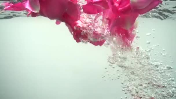Květináče Růží Padají Vody Pozadí Zpomalený Pohyb — Stock video