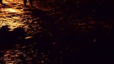Dağ nehrindeki bir yangının yansıması. Ivan Kupala 'nın tatili için yangın, Temmuz, yaz, Ukrayna.