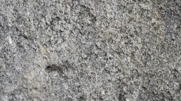 Schießen Auf Einen Stein Hintergrund Aus Einem Stein — Stockvideo