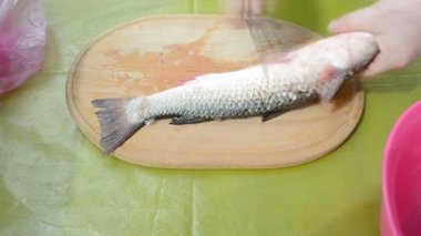 Balığı kesmek. Balığı kesme işleminin zamanlaması