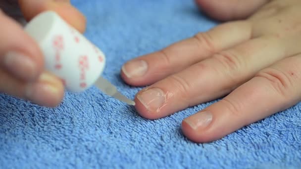 Woman Does Manicure Beginning Manicure — Stock Video