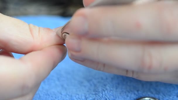 Manicura Herramienta Mujer Hace Manicura — Vídeo de stock