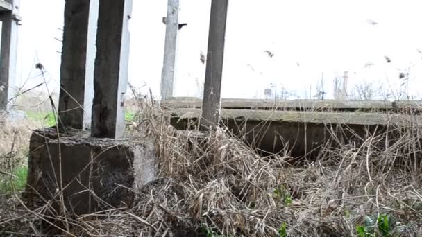 Shooting Unfinished Industrial Facility Unfinished Plant — Stock Video