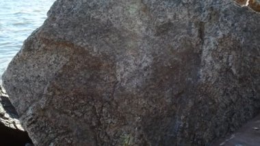 Taş plajı. Kıyının dalgalara karşı korunması