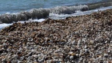 Shelly plajı. Su ve deniz