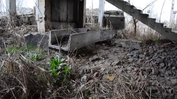 Suelos Del Edificio Sin Terminar Planta Sin Terminar — Vídeos de Stock