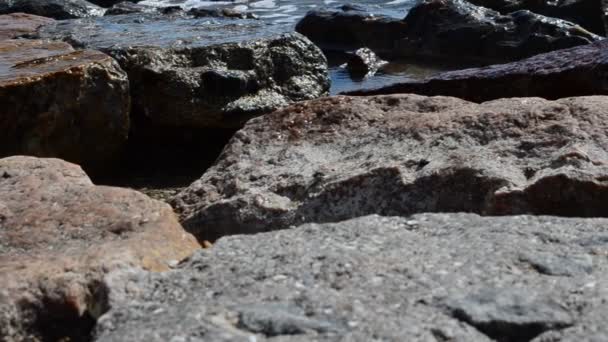 Kamienie Morze Wybrzeże Morskie — Wideo stockowe