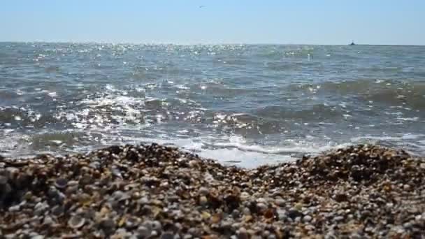 Playa Del Mar Mar Olas — Vídeo de stock