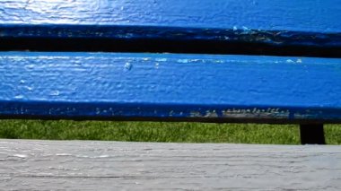 Park yerinde bankta. İlkbaharda çekim