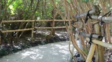 Parktaki yol. Bahçedeki doğa..