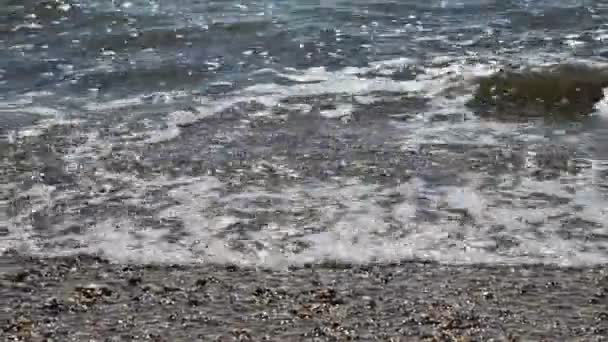 Meer Und Welle Meeresstrand — Stockvideo