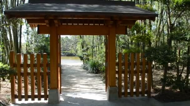 Entrée Parc Nature Dans Jardin — Video