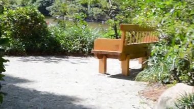 Bahçedeki yol. Bahçedeki doğa..