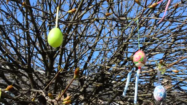 木の上のおもちゃ 春の木イースター — ストック動画
