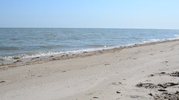 Hav Och Sand Stranden Och Himlen — Stockvideo