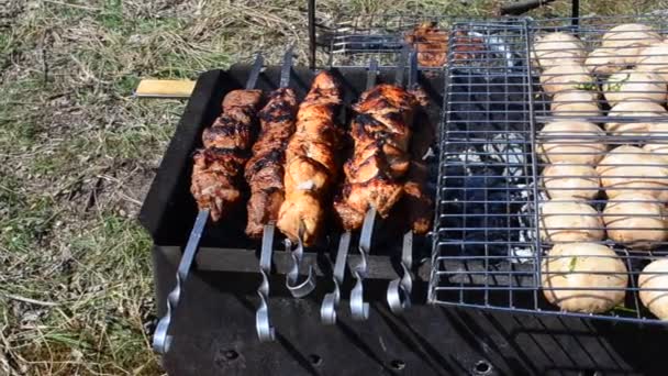 Förberedelse Grill Kött Ett Galler — Stockvideo