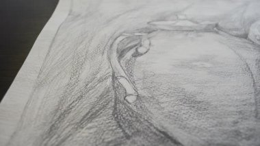 Yönetmenlikle ateş etmek. Durgun hayat bir kalemle çizilir.