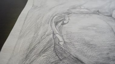 Durgun hayat bir kalemle çizilir. Orkestra şefliği ile çekim