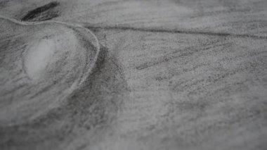 Hayat ve elma. Çizimde elma