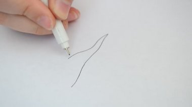 Bir çiçek çizimi. Kağıt üzerine çizim