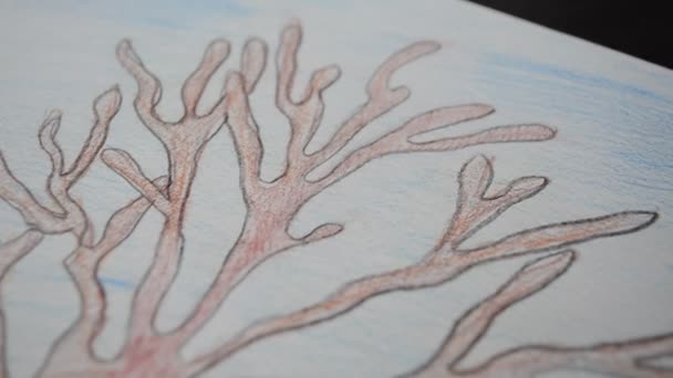 Tree Branches Drawing Paper — Stock Video