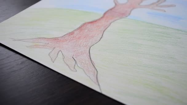 Artist Picture Tree Drawing Paper — Stock Video