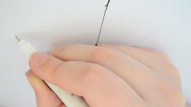 Işığın yansıması. Fiziksel çizim