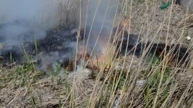Kaza, baharda yangın. Yangın sırasında siyah duman.