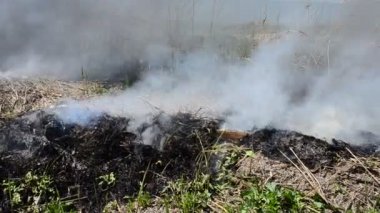 Yangın sırasında siyah duman. Çevre felaketi