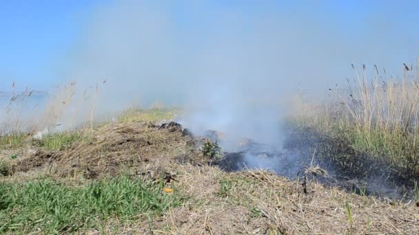 Le vent disperse le feu pendant l'incendie. Fond d'une fumée, un tas de feu 