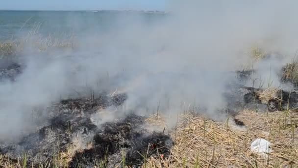 Catastrophe environnementale. Champs et feu, accident 