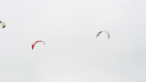 Skysurf Par Temps Venteux Les Activités Aquatiques Mer — Video