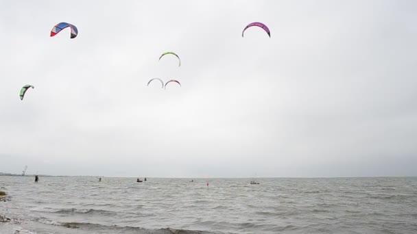 Conducir Una Tabla Bajo Una Vela Disparos Mar — Vídeo de stock