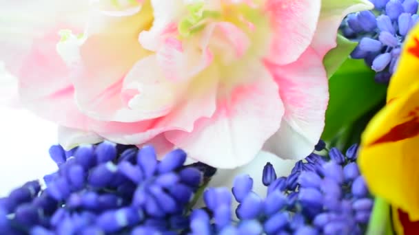 Λαμπερά Ανοιξιάτικα Λουλούδια Πυροβολισμός Μπουκέτο Λουλούδια — Αρχείο Βίντεο