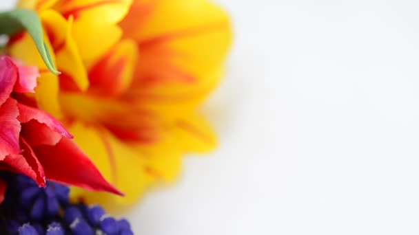 Shooting Bouquet Tulips Beautiful Flowers — Stock Video
