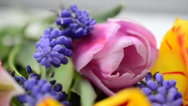 Leuchtende Frühlingsblumen Schießen Eines Straußes Von Blumen — Stockvideo