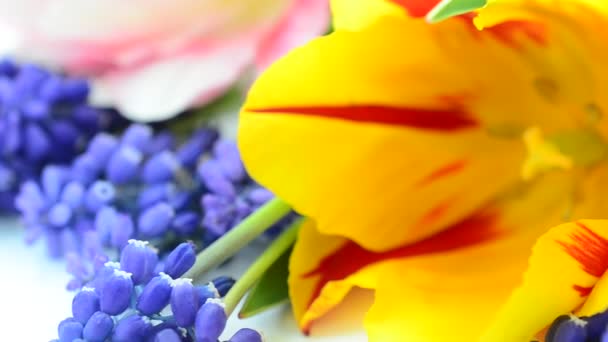 Schieten Van Een Boeket Tulpen Mooie Bloemen — Stockvideo