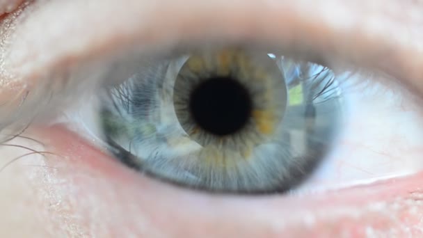Olhos Olhos Olho Feminino — Vídeo de Stock