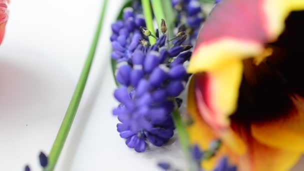 Meerkleurige Bloemen Feestelijk Boeket — Stockvideo