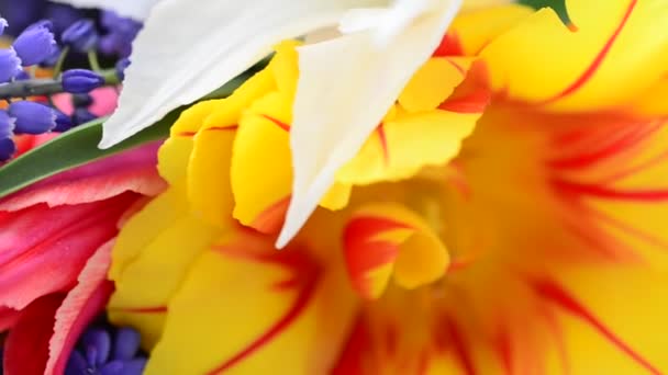 Licht Bloemen Lente Feestelijk Boeket — Stockvideo