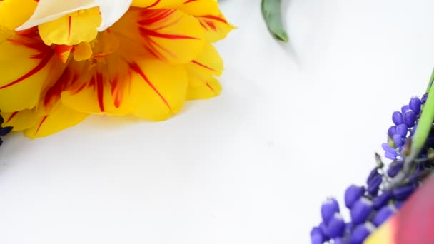 De belles fleurs printanières. Bouquet de tulipes 