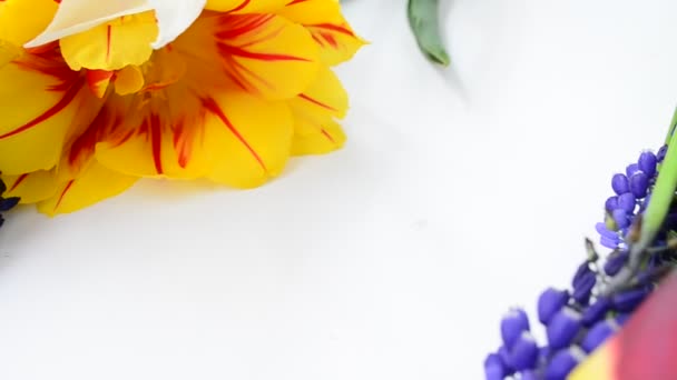 Prachtige Lentebloemen Boeket Van Tulpen — Stockvideo