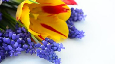 Lalelerden buket. Güzel bahar çiçekleri