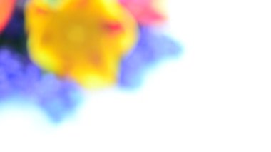 Beyaz bir arka planda çekim yapmak. Bahar buketi