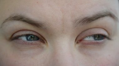 Gözler ve kaşlar. Dişi gözler
